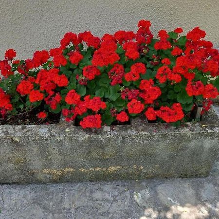 Apartmani Gracijela Karlobag Bagian luar foto