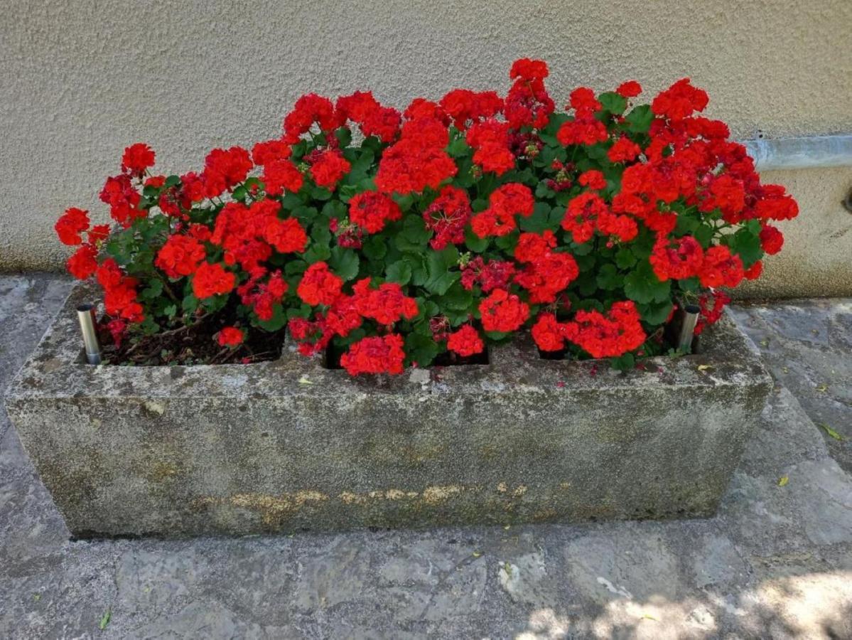 Apartmani Gracijela Karlobag Bagian luar foto