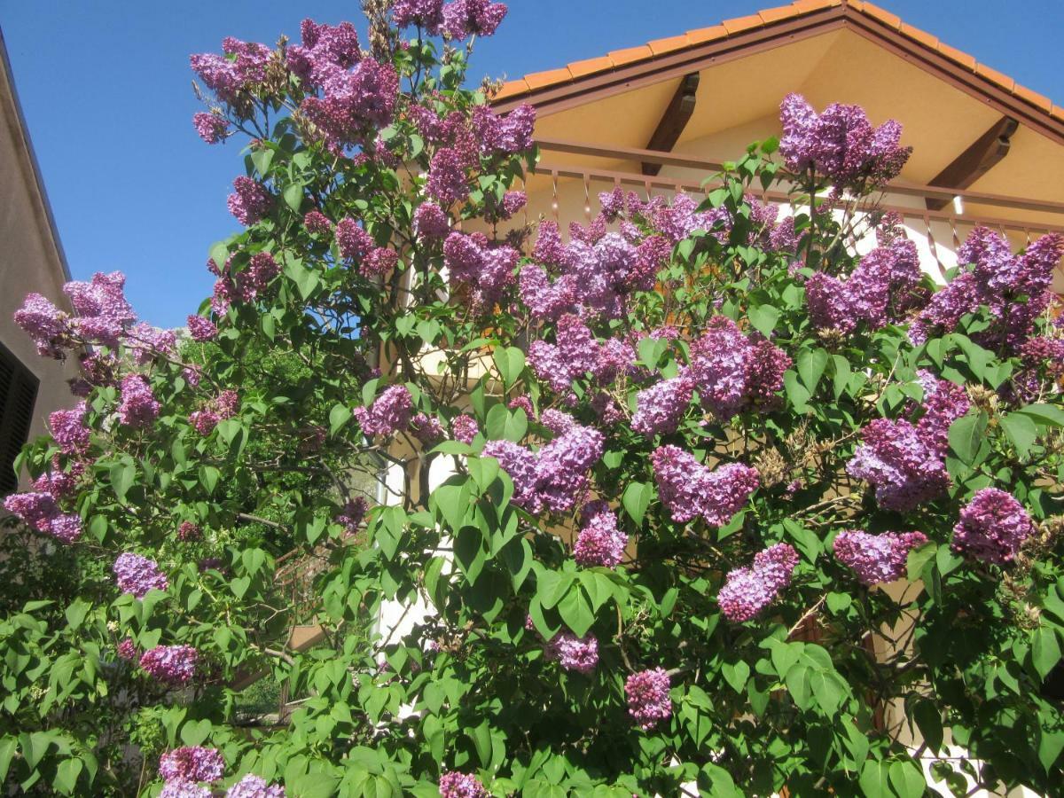 Apartmani Gracijela Karlobag Bagian luar foto